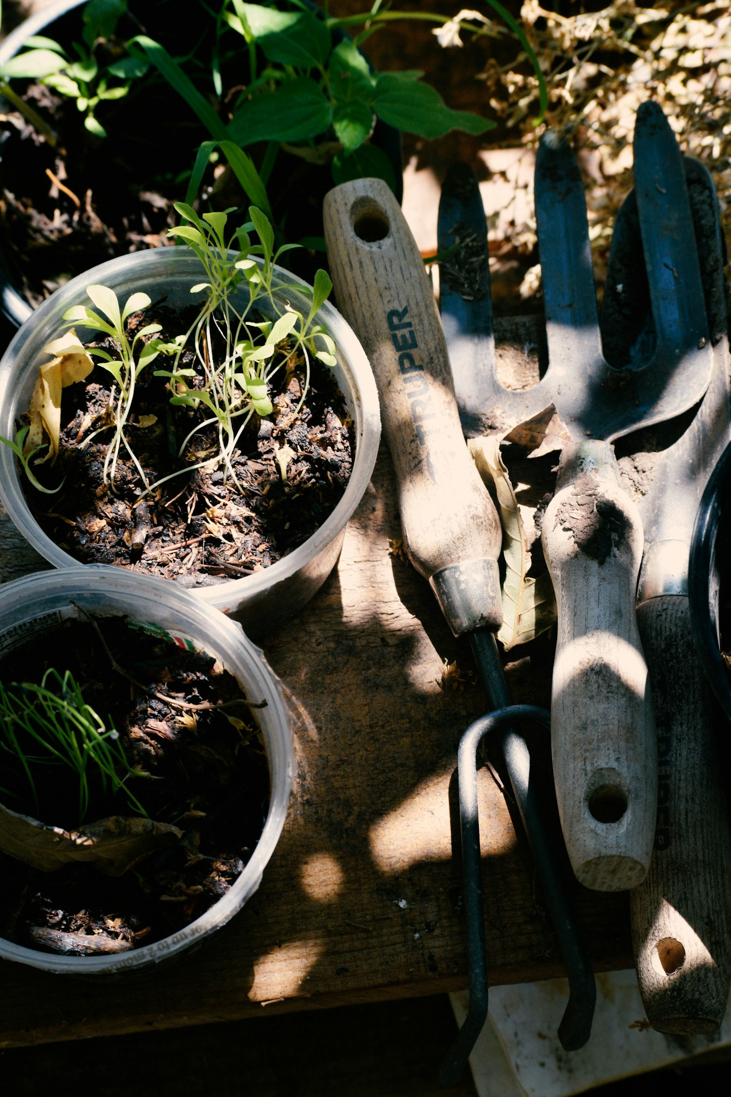 Cinque consigli per un giardino sempre idratato